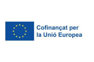 Fons Social Europeu